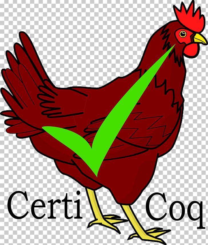 Chicken Graphics Illustration Free Content PNG, Clipart, Andrew, Animals, Appel, Area, Artwork Free PNG Download