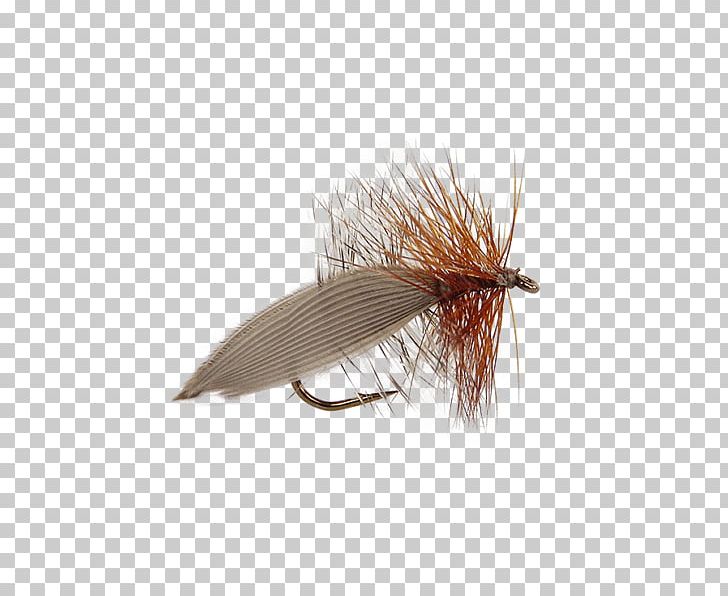 Insect Orvis Henryville Special Fishing Fly Lure Fly Fishing Artificial Fly PNG, Clipart, Artificial Fly, Crane Fly, Dry Fly Fishing, Fishing, Fishing Bait Free PNG Download