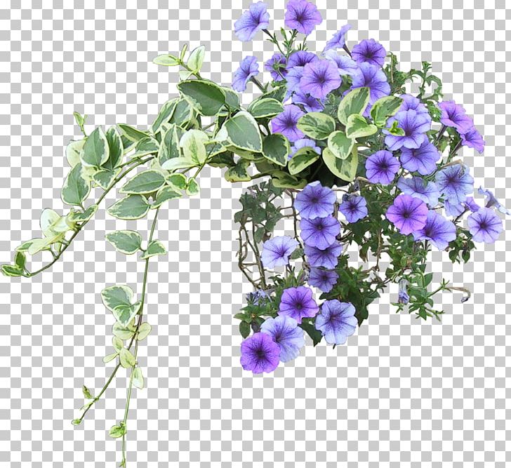 Leather Flower Violet Vine PNG, Clipart, Bushes, Common Sunflower, Flower, Flowering Plant, Green Free PNG Download