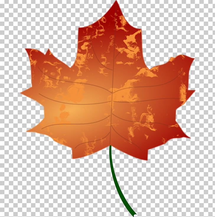 Autumn Leaf Color PNG, Clipart, Autumn, Autumn Leaf Color, Color, Desktop Wallpaper, Flowering Plant Free PNG Download