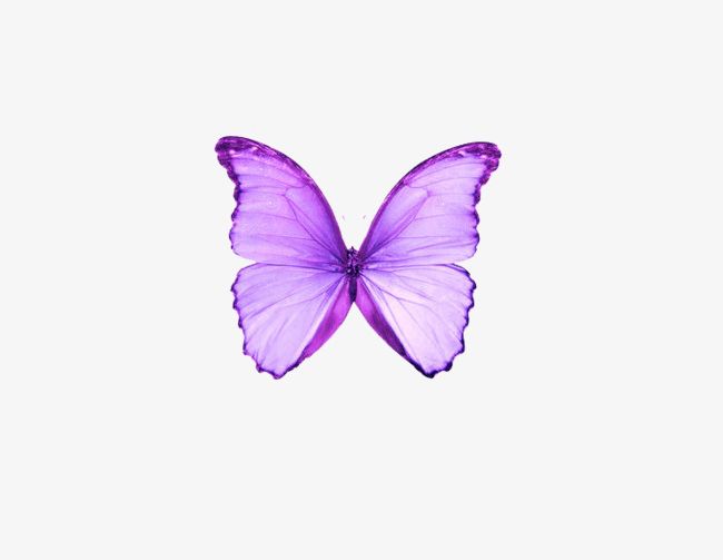 Dream Purple Butterfly PNG, Clipart, Animal, Butterfly, Butterfly Clipart, Butterfly Clipart, Dream Free PNG Download