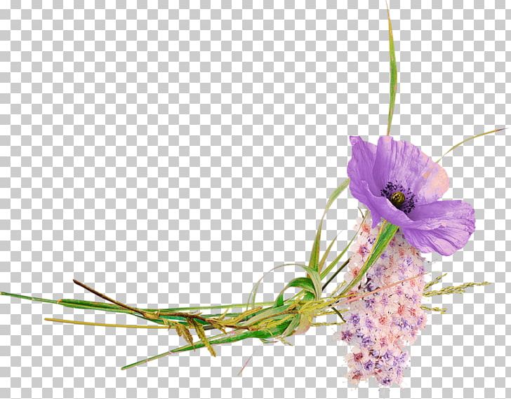 Flower Desktop PNG, Clipart, Child, Cut Flowers, Desktop Wallpaper, Download, Floral Design Free PNG Download