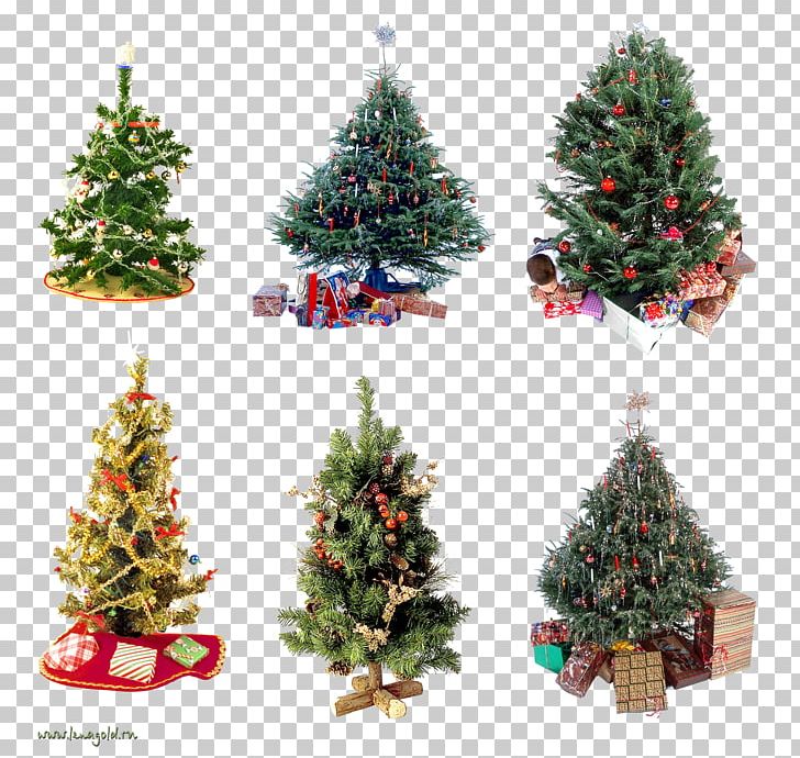 New Year Tree Christmas Tree Christmas Ornament PNG, Clipart, Christmas, Christmas Decoration, Christmas Ornament, Christmas Tree, Conifer Free PNG Download