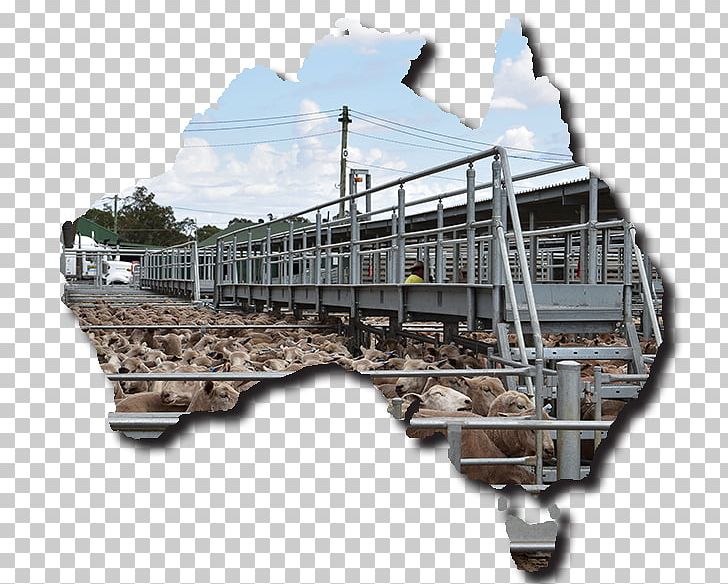 Australia Livestock Sheep Industry Cattle PNG, Clipart, Australia, Barnaby Joyce, Business, Cattle, Industry Free PNG Download