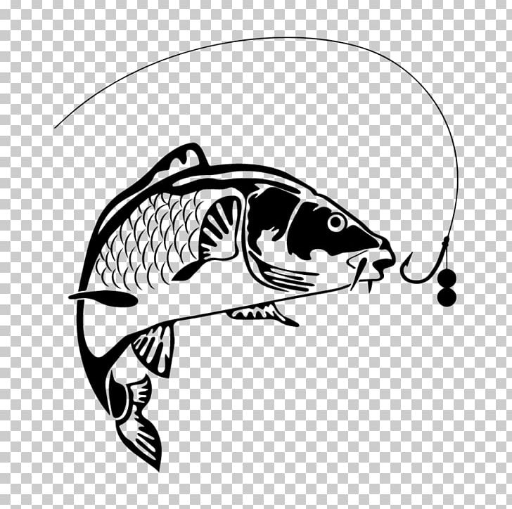 Carp Fishing Common Carp PNG, Clipart, Animals, Art, Artwork, Automotive Design, Black Free PNG Download