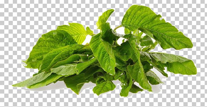 Callaloo Spinach Vegetable Herb Cauliflower PNG, Clipart, Basil, Callaloo, Cauliflower, Cherry Tomato, Collard Greens Free PNG Download
