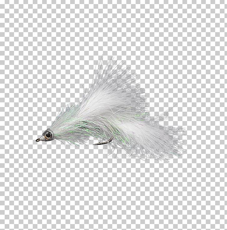 Fly Fishing Holly Flies Popularity Brand PNG, Clipart, Brand, Email, Feather, Fishing, Fly Fishing Free PNG Download