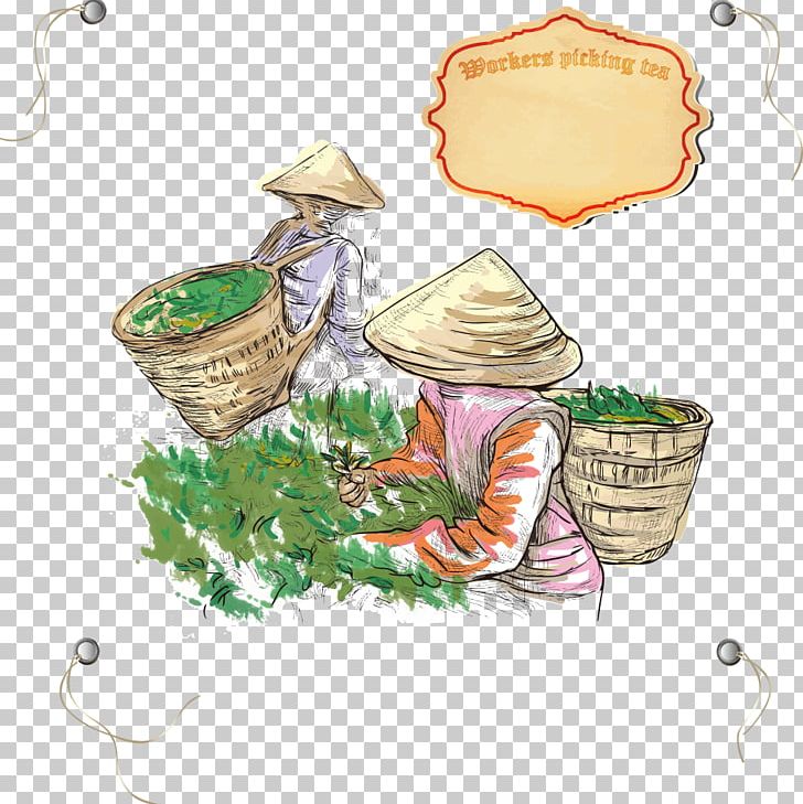 Tea Drawing Illustration PNG, Clipart, Agriculture, Art, Cartoon, Farmer, Flower Free PNG Download