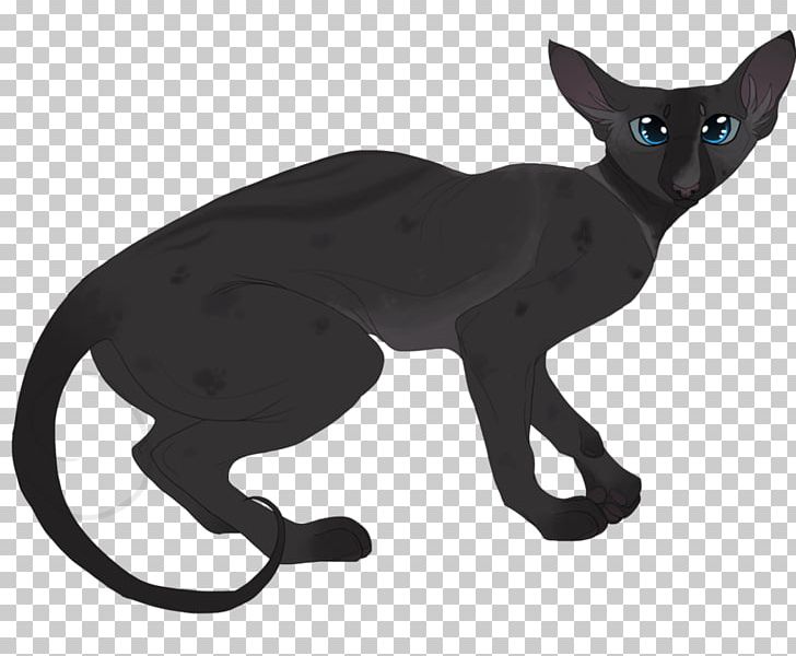 Whiskers Domestic Short-haired Cat Tail PNG, Clipart, Animals, Black, Black Cat, Black M, Carnivoran Free PNG Download