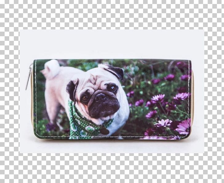 Pug Puppy Desktop Cuteness PNG, Clipart, Animals, Breed Group Dog, Carnivoran, Cuteness, Desktop Wallpaper Free PNG Download