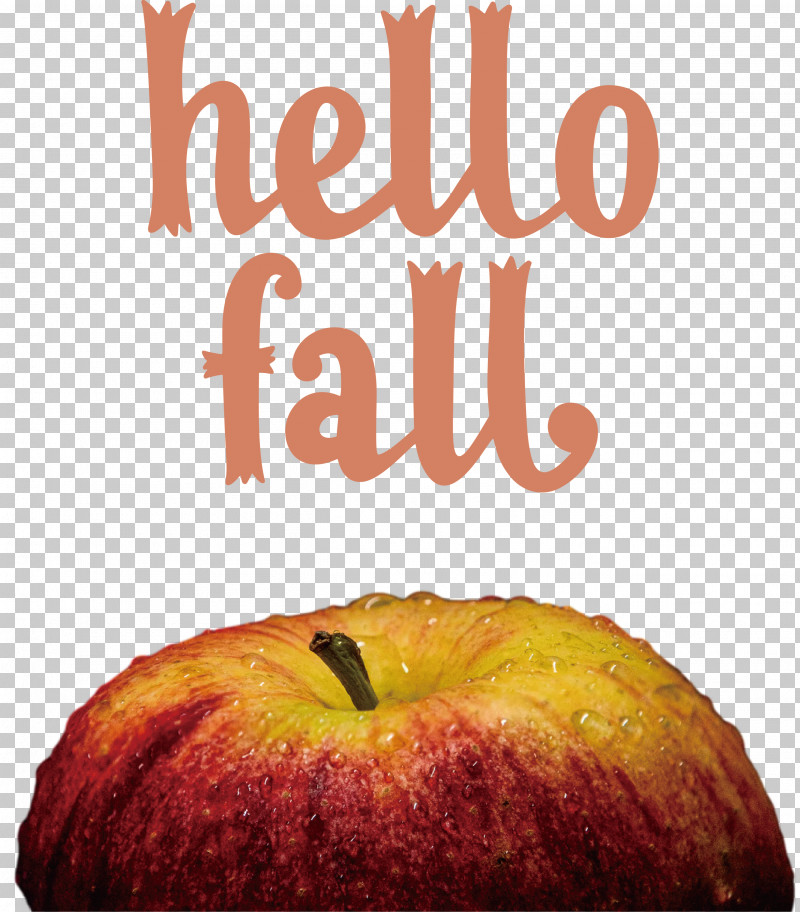 Hello Fall Fall Autumn PNG, Clipart, Apple, Autumn, Fall, Fruit, Hello Fall Free PNG Download