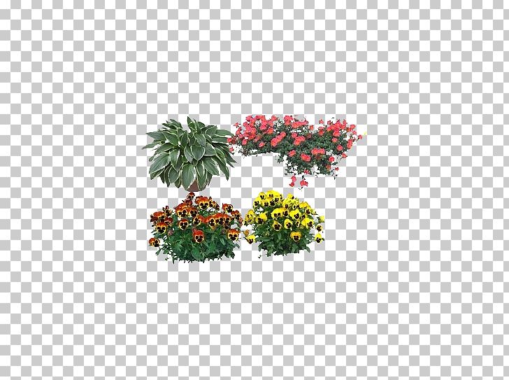 Dendranthema Lavandulifolium German Chamomile Flower PNG, Clipart, Chamomile, Chrysanthemum, Computer Icons, Dendranthema Lavandulifolium, Design Free PNG Download
