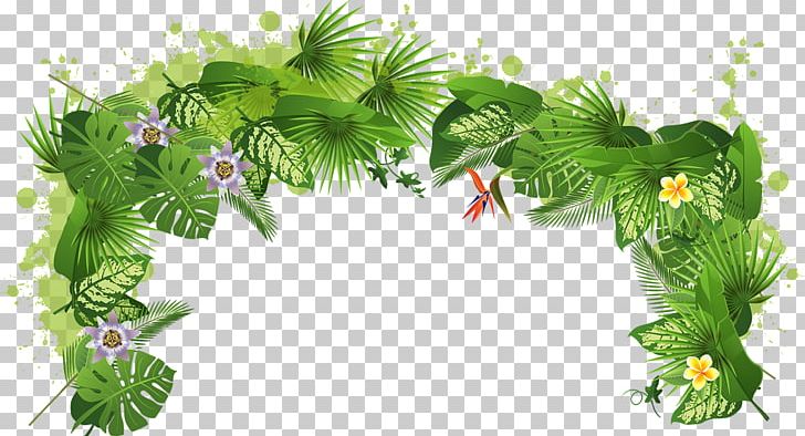 Orange Juice Tree Plant Tropical Rainforest PNG, Clipart, Aquarium Decor, Arecaceae, Biome, Canopy, Coconut Free PNG Download