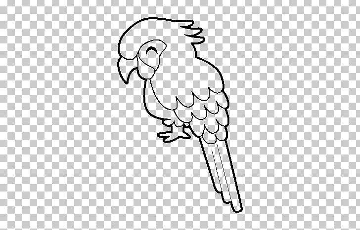 Parrot Bird Military Macaw Drawing Coloring Book PNG, Clipart, Animal, Animals, Ara, Arm, Art Free PNG Download