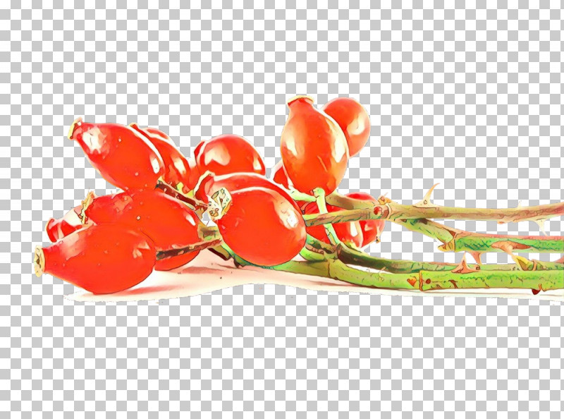 Red Plant Flower Tulip Vegetable PNG, Clipart, Flower, Plant, Red, Tulip, Vegetable Free PNG Download