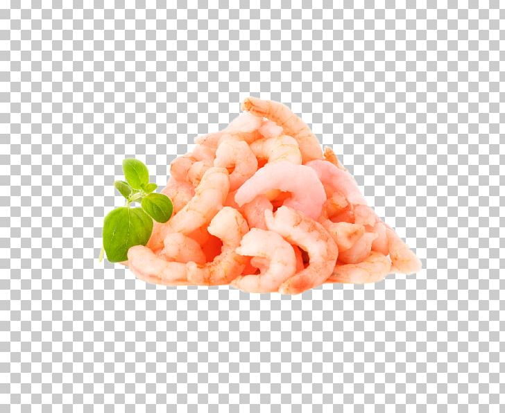 Caridean Shrimp Pizza Margherita Prawn Cocktail Makizushi PNG, Clipart, Animal Source Foods, Caridean Shrimp, Crayfish As Food, Delivery, Dish Free PNG Download