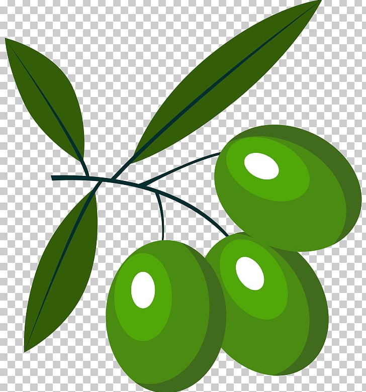 Food Olive PNG, Clipart, Circle, Food, Food Drinks, Fruit, Green Free PNG Download