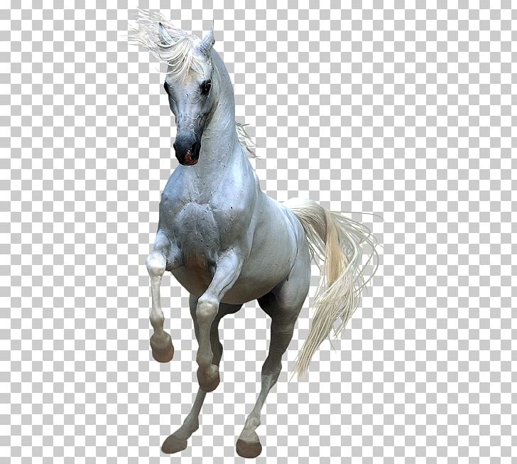 Horses PNG, Clipart, Animal, Animals, Clip Art, Encapsulated Postscript, Fictional Character Free PNG Download