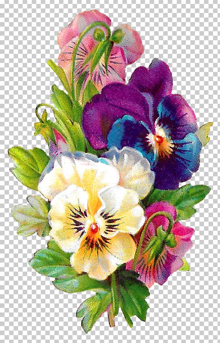 Pansy Floral Design Line Art PNG, Clipart, Annual Plant, Art, Artwork, Botanical, Clip Art Free PNG Download