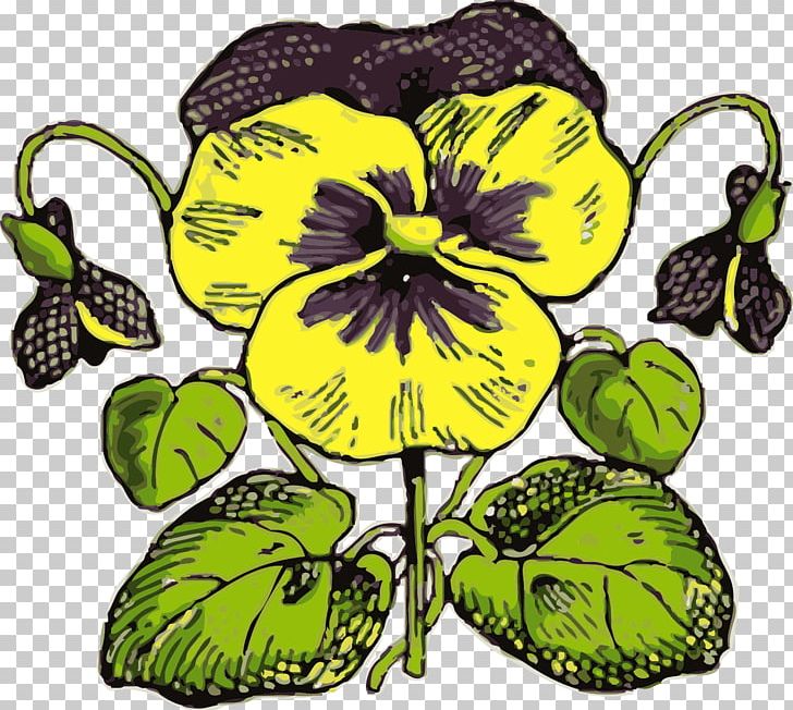 Pansy PNG, Clipart, Computer Icons, Drawing, Flora, Flower, Flowering Plant Free PNG Download