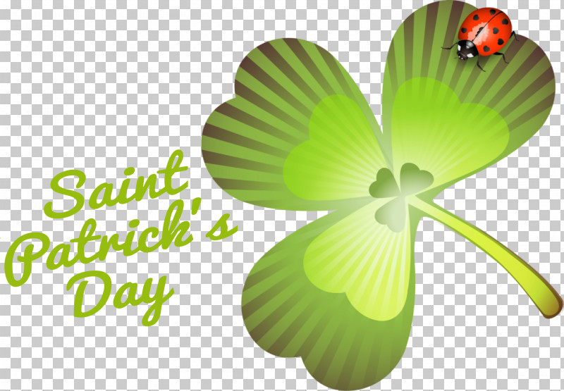 Flower Leaf Green Petal Font PNG, Clipart, Biology, Flower, Green, Leaf, Meter Free PNG Download