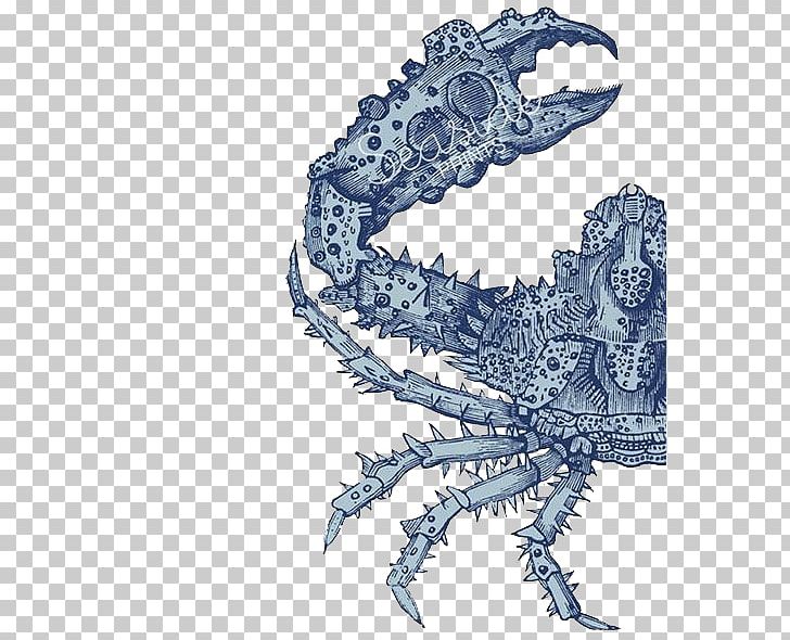 Chesapeake Blue Crab Photography Bottle Opener PNG, Clipart, Animal, Animals, Aquatic Animal, Art, Blue Free PNG Download