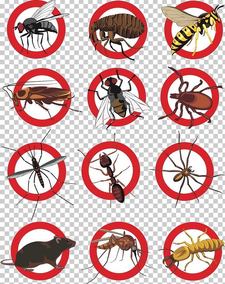 Cockroach Pest Control Rat PNG, Clipart, Animals, Area, Artwork, Bicycle, Bicycle Accessory Free PNG Download