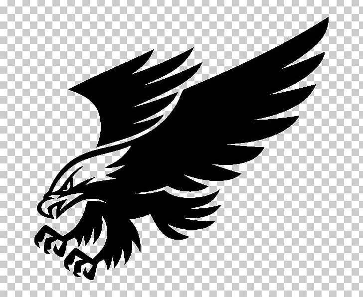 Frankton Junior-Senior High School Moore Public Schools Higley High School Williams Field High School National Secondary School PNG, Clipart, Bald Eagle, Beak, Bird, Bird Of Prey, Computer Wallpaper Free PNG Download