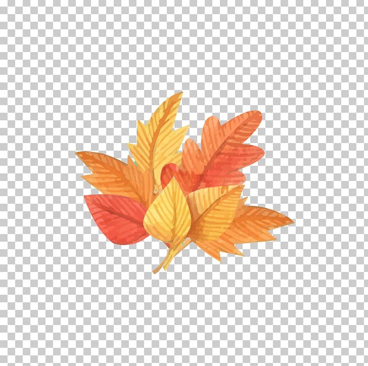 Leaf Autumn Euclidean Deciduous PNG, Clipart, Autumn Leaf Color, Autumn Leaves, Banana Leaves, Cloud, Color Free PNG Download