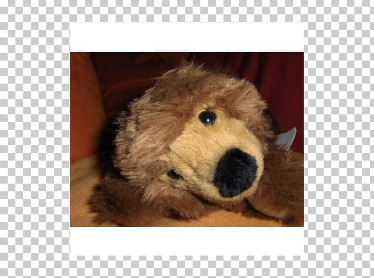 Snout Dog Breed Fauna Stuffed Animals & Cuddly Toys PNG, Clipart, Animals, Dog, Dog Breed, Dog Breed Group, Fauna Free PNG Download