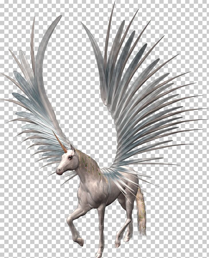 Unicorn Glogster Blog PNG, Clipart, Blog, Carnivoran, Computer Software, Desktop Wallpaper, Dog Like Mammal Free PNG Download