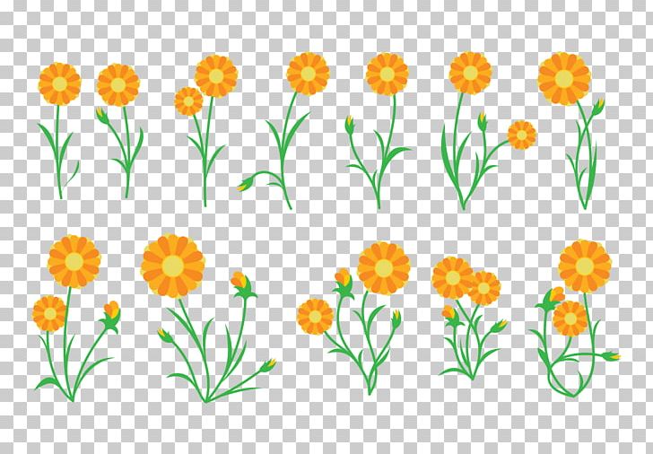 Calendula Officinalis Plant Cut Flowers PNG, Clipart, Calendula, Calendula Officinalis, Cut Flowers, Daisy, Daisy Flower Free PNG Download