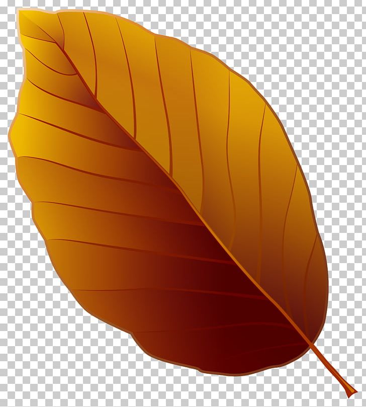 File Formats Filename Extension Computer File PNG, Clipart, Autumn, Autumn Leaf, Autumn Leaf Color, Clipart, Clover Free PNG Download