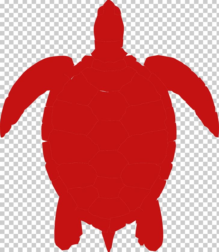 Green Sea Turtle PNG, Clipart, Animal, Animals, Fictional Character, Green Sea Turtle, Red Free PNG Download