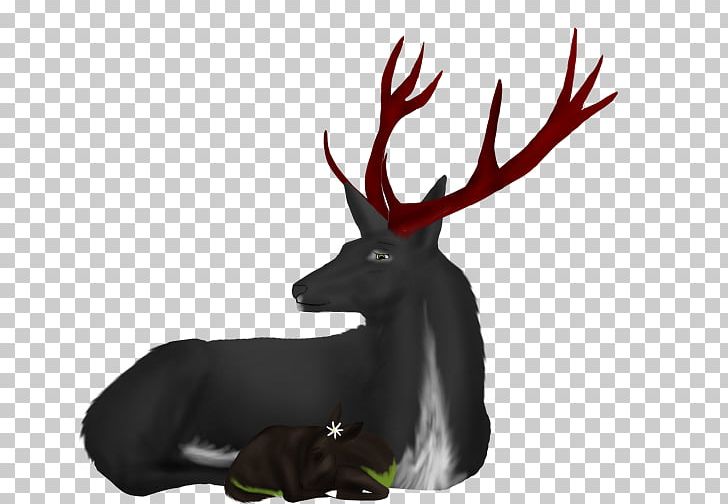 Reindeer Antler Wildlife PNG, Clipart, Antler, Deer, Hair Forest, Horn, Reindeer Free PNG Download