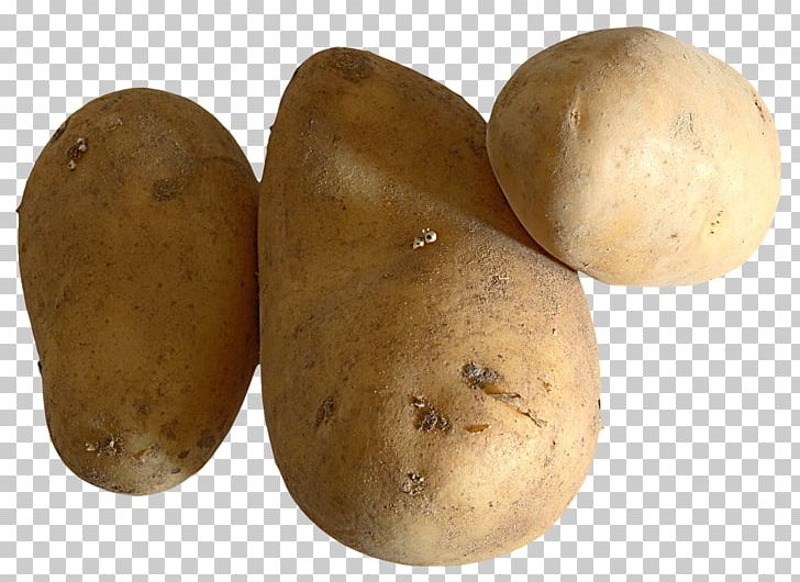 Russet Burbank Yukon Gold Potato PNG, Clipart, Food, Onion, Potato, Potato And Tomato Genus, Produce Free PNG Download