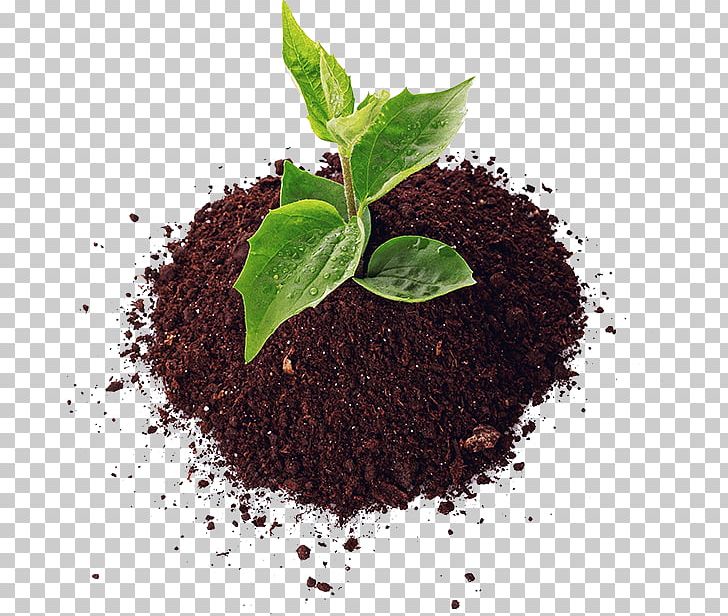 Soil Agriculture Fertilisers Pesticide Organic Farming PNG, Clipart, Agriculture, Assam Tea, Biochar, Biopesticide, Fertilisers Free PNG Download
