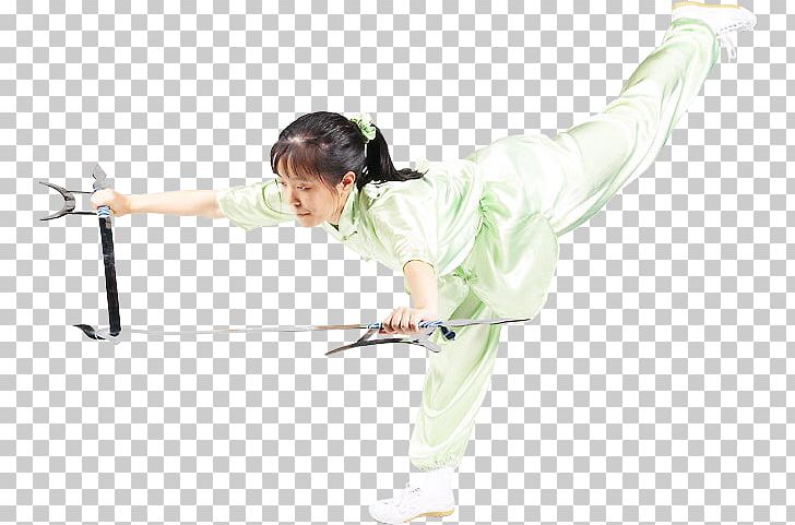 Taekkyeon PNG, Clipart, Arm, Joint, Others, Taekkyeon Free PNG Download