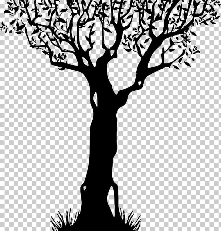 Tree PNG, Clipart, Art, Artwork, Black And White, Branch, Computer Icons Free PNG Download