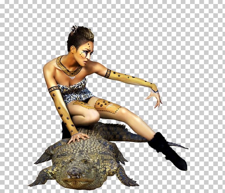 Woman Hosting Service Reptile PNG, Clipart, Animal, Blog, Crocodile, Google Bookmarks, Image Hosting Service Free PNG Download