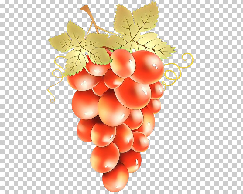 Grape Seedless Fruit Fruit Grapevine Family Plant PNG, Clipart, Currant, Flower, Food, Fruit, Grape Free PNG Download