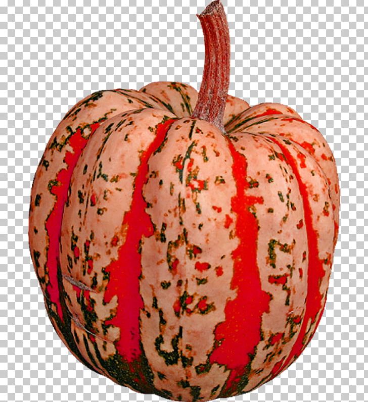 Pumpkin Food Winter Squash Vegetable PNG, Clipart, Abstract Art, Apple, Art, Art Deco, Capsicum Annuum Free PNG Download