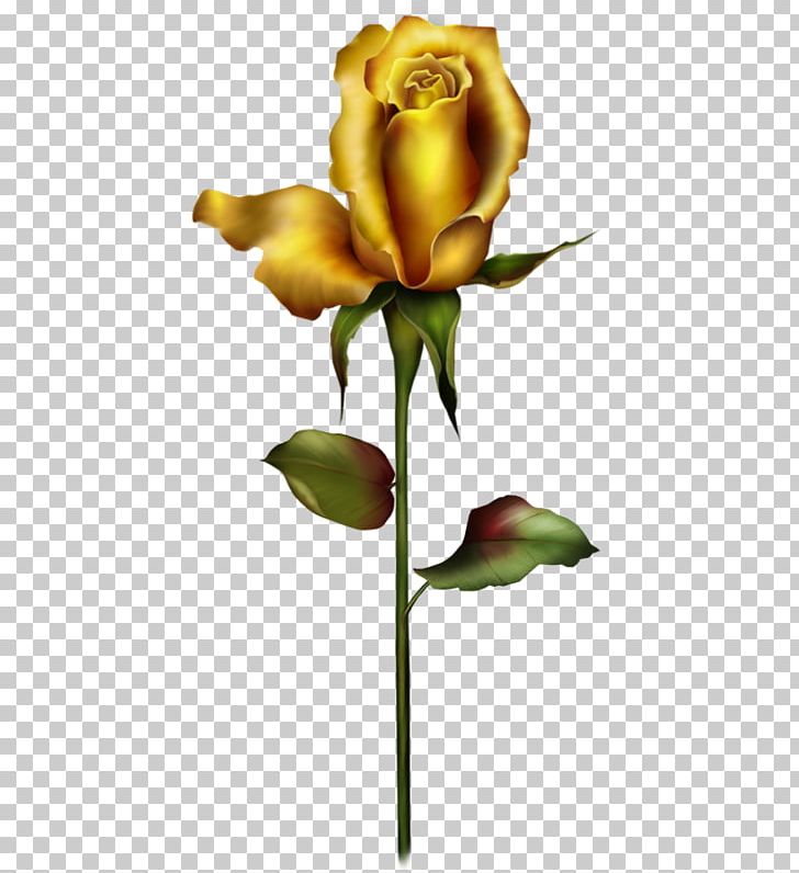 Rose Bud Yellow PNG, Clipart, Bud, Cartoon, Creative, Flora, Floral Design Free PNG Download