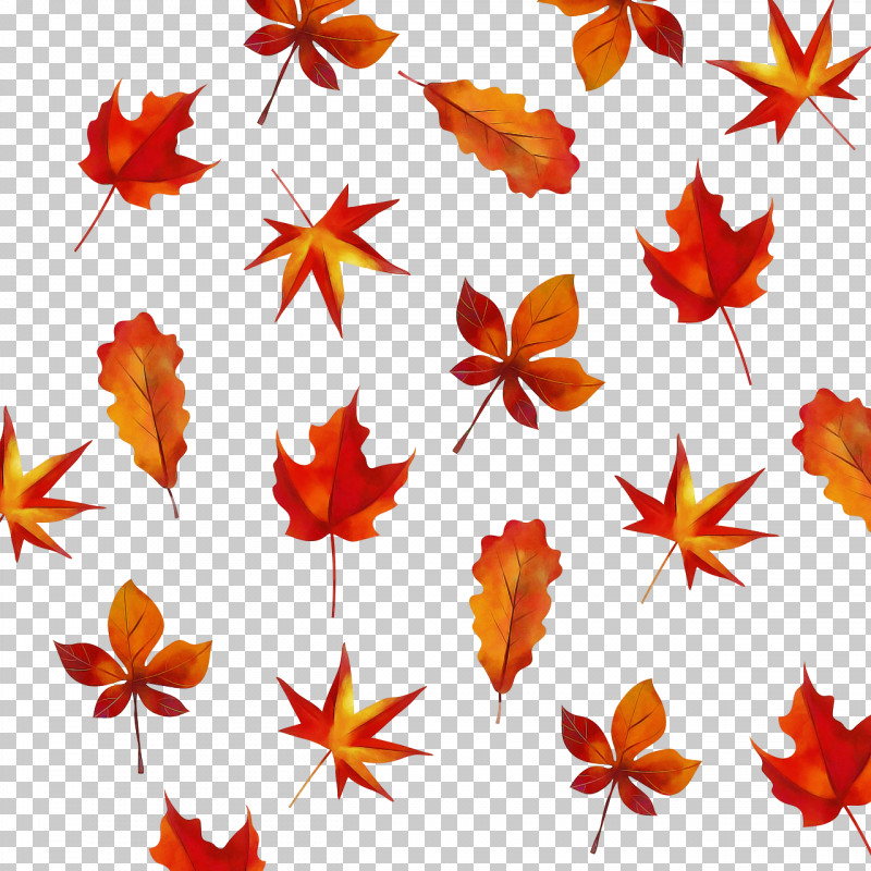 Leaf Flower Petal Maple Leaf / M Tree PNG, Clipart, Autumn, Biology, Flower, Leaf, Maple Leaf M Free PNG Download