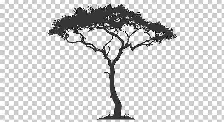 Africa Tree Drawing Decal PNG, Clipart, Africa, Albero, Arecaceae, Baobab, Black And White Free PNG Download