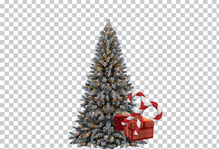 Christmas Tree Christmas Ornament PNG, Clipart, Artificial Christmas Tree, Box, Christmas, Christmas Decoration, Christmas Frame Free PNG Download