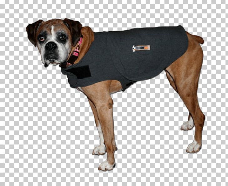 boxer breed clothing