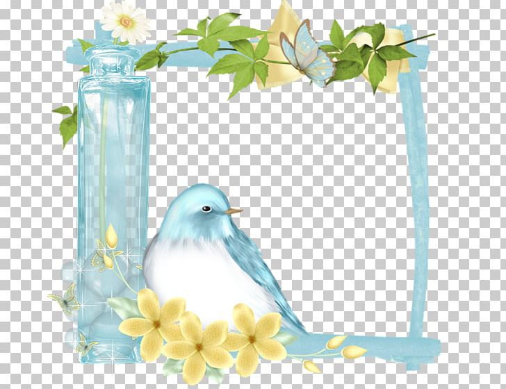 Frame Film Frame Photography PNG, Clipart, Animals, Animation, Beak, Bird, Birds Free PNG Download