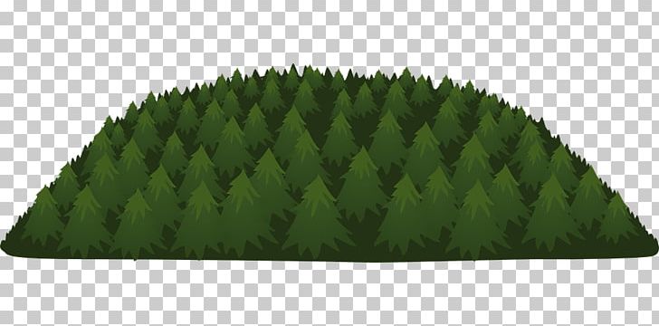 Portable Network Graphics Forest Tree PNG, Clipart, Desktop Wallpaper, Download, Environment, Forest, Grass Free PNG Download