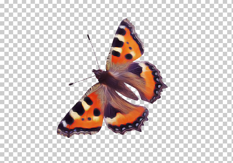 Monarch Butterfly PNG, Clipart, Aglais, American Painted Lady, Brushfooted Butterfly, Butterfly, Cynthia Subgenus Free PNG Download